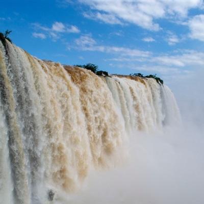 金年会·体育截图